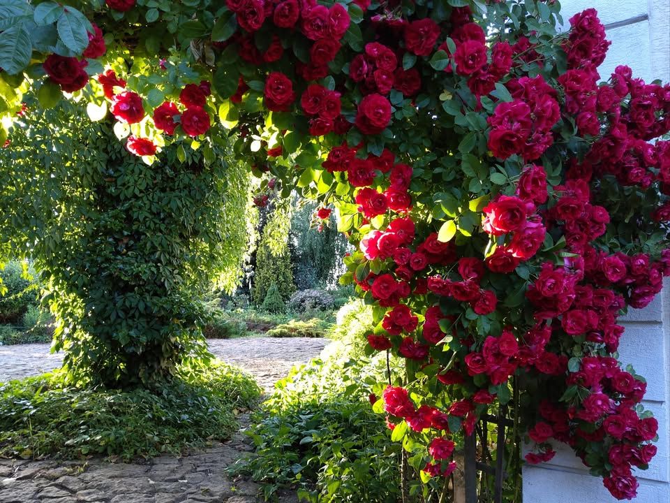 dom wolnostojący, 6 pokoi Nowe Gnatowice. Zdjęcie 12