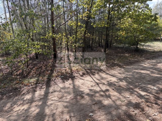 Działka budowlana Dębina. Zdjęcie 6