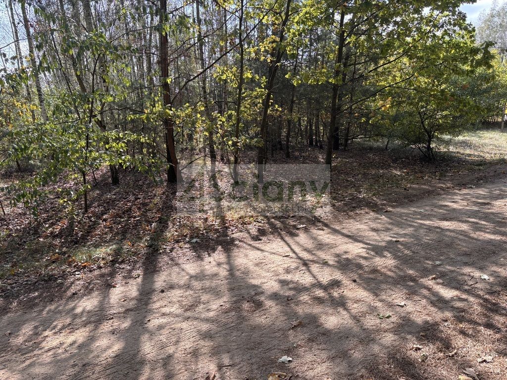 Działka budowlana Dębina. Zdjęcie 6