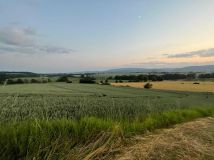 Działka budowlana Stary Waliszów. Zdjęcie 3