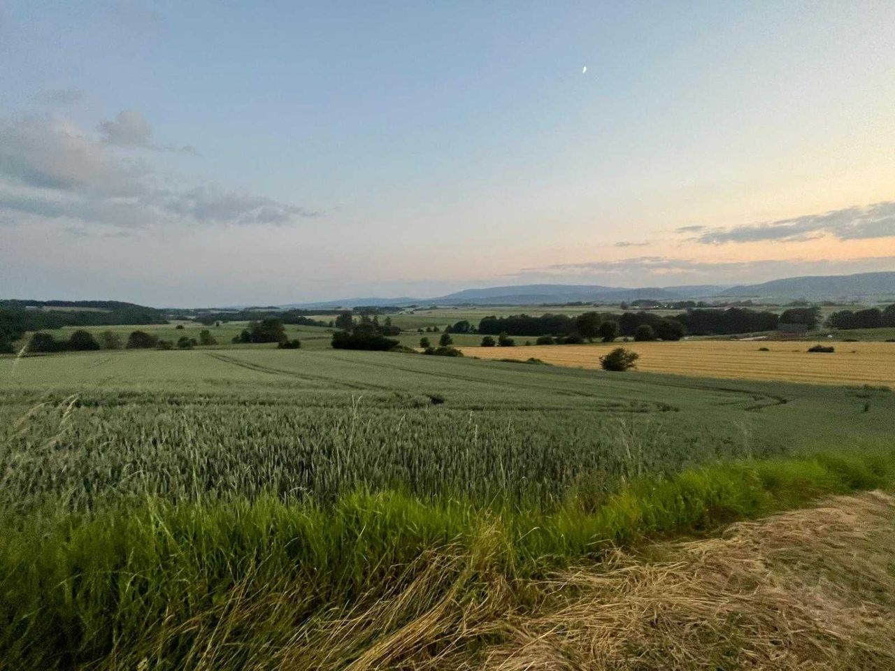 Działka budowlana Stary Waliszów. Zdjęcie 4