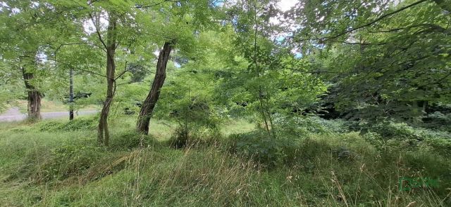 Działka inna Sosnowiec, ul. Adama Śliwki. Zdjęcie 8