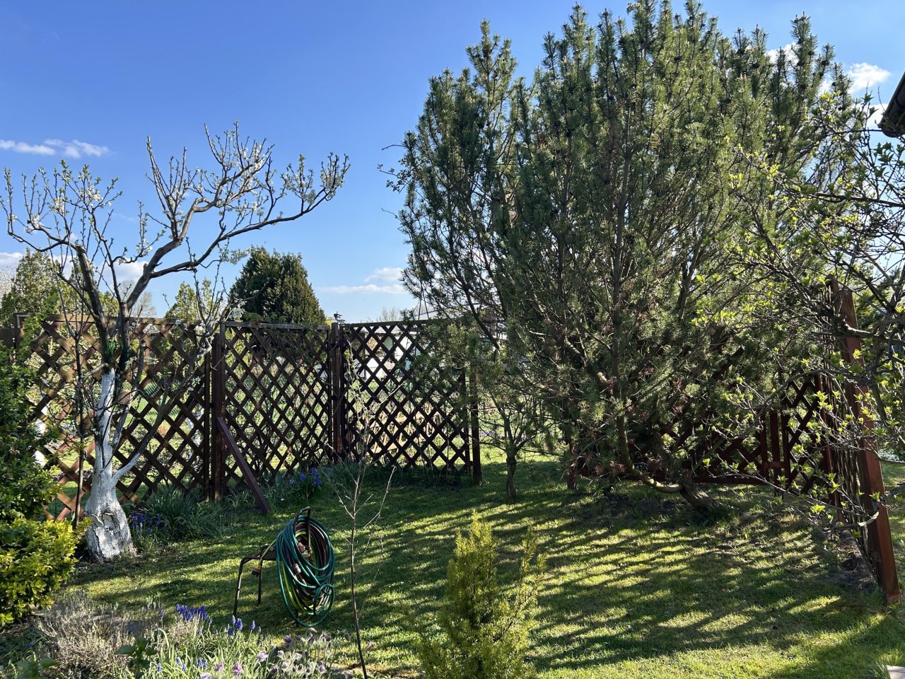 Działka rod Głogów, ul. Adama Mickiewicza. Zdjęcie 12