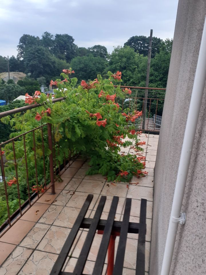 Pokój Krzyż Wielkopolski Centrum, ul. Letnia. Zdjęcie 6