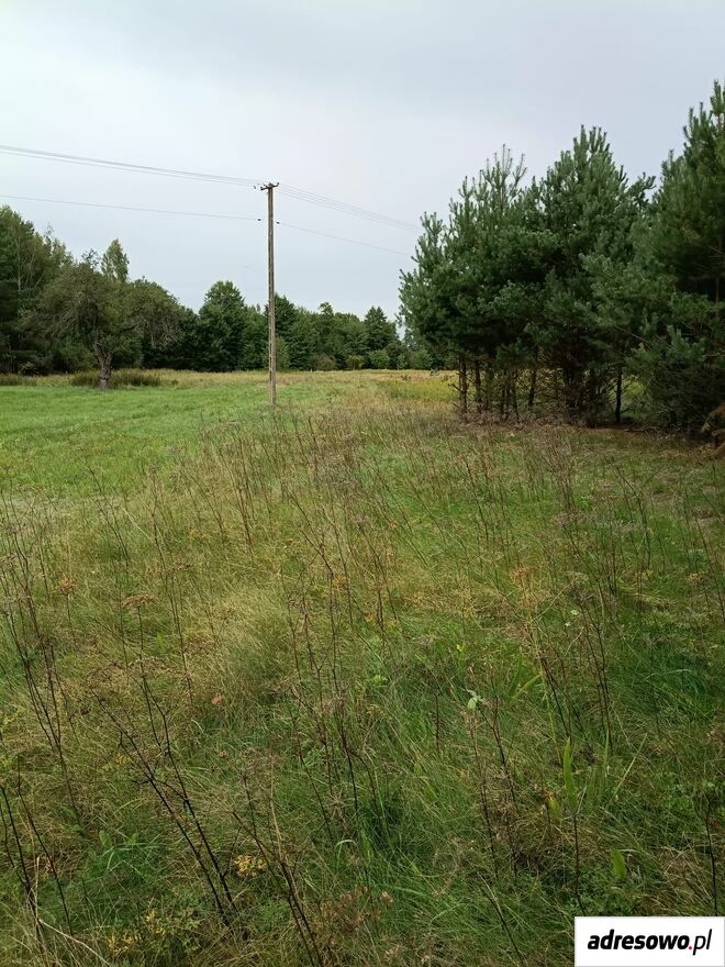 Działka rolna Stanisławów. Zdjęcie 6
