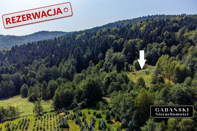 Działka budowlana Słona. Zdjęcie 10