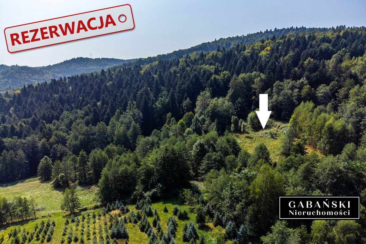 Działka budowlana Słona. Zdjęcie 10