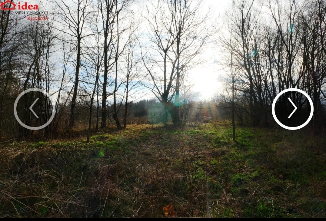 Działka rolno-budowlana Witryłów Rzeki nad Sanem. Zdjęcie 10