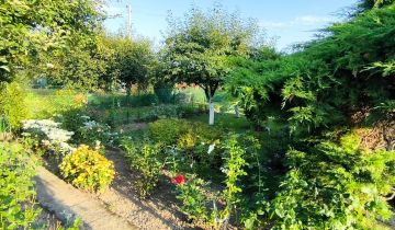 Działka rod Bystrzyca Kłodzka