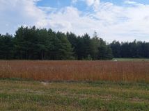 Działka budowlana Olmonty. Zdjęcie 2