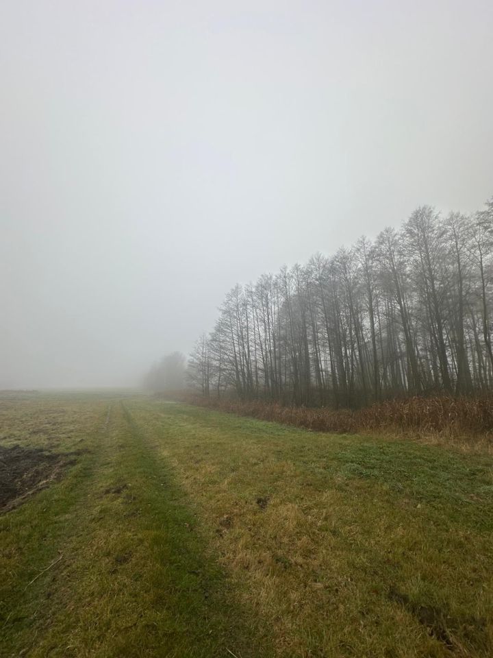 Działka rolna Bystrzanów, ul. Królewska. Zdjęcie 9