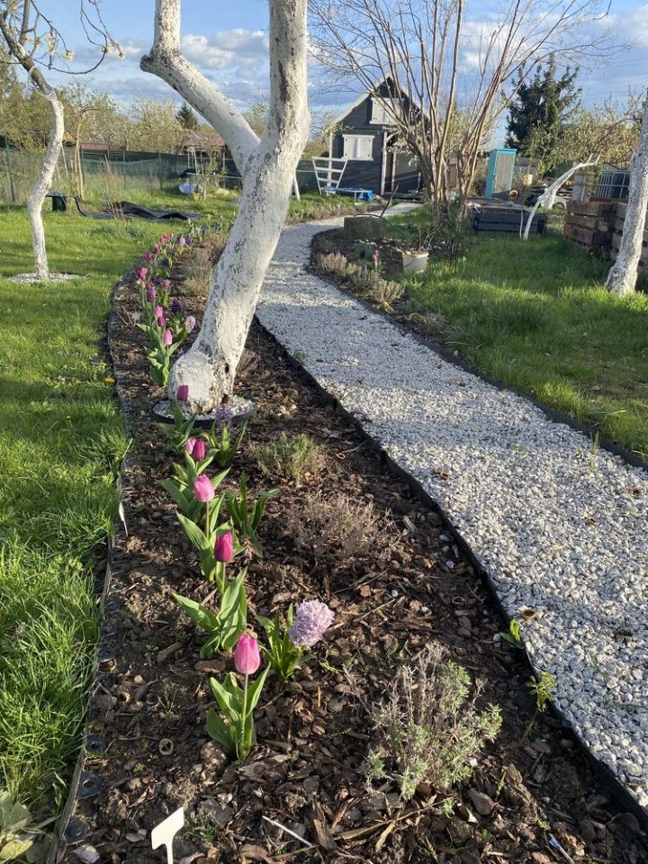 Działka rod Wrocław Psie Pole. Zdjęcie 3