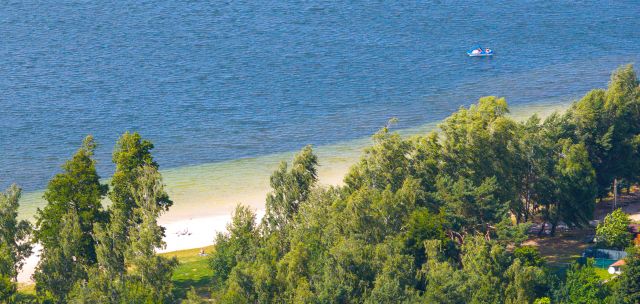 Działka rekreacyjna Piaseczno. Zdjęcie 10