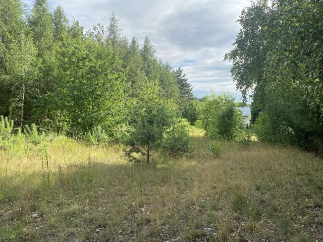 Działka rekreacyjna Choceń. Zdjęcie 1