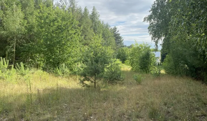 Działka rekreacyjna Piotrowo