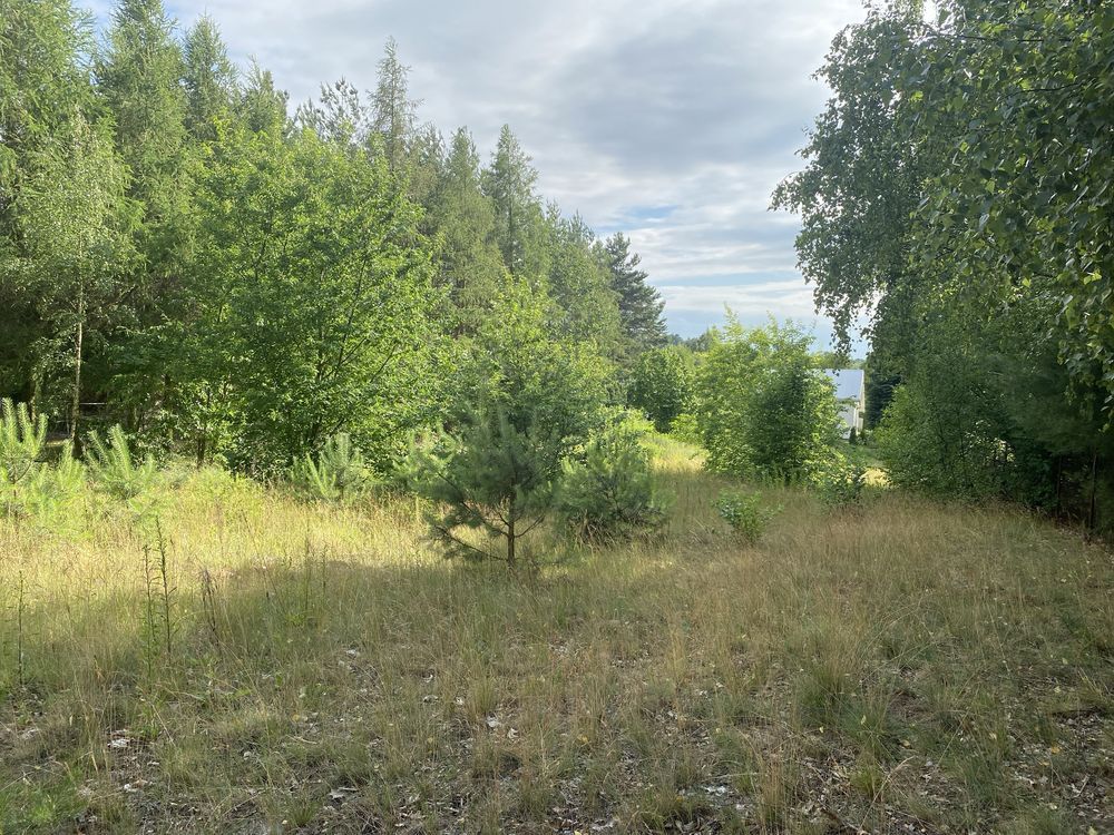 Działka rekreacyjna Choceń. Zdjęcie 1