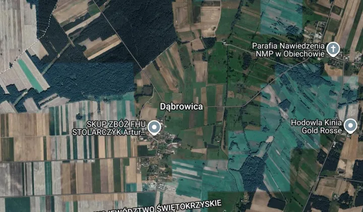 Działka rolna Dąbrowica