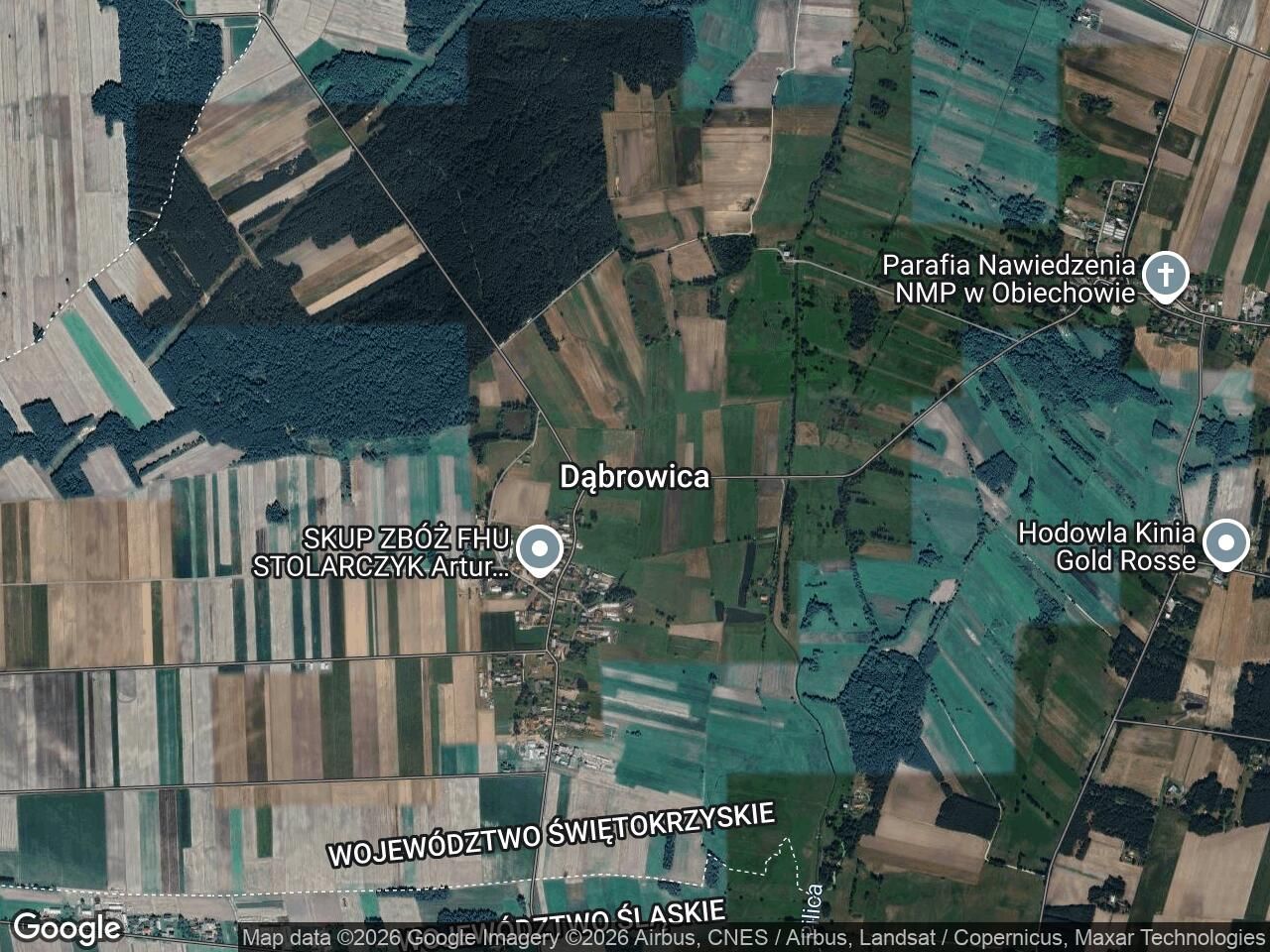 Działka rolna Dąbrowica. Zdjęcie 1