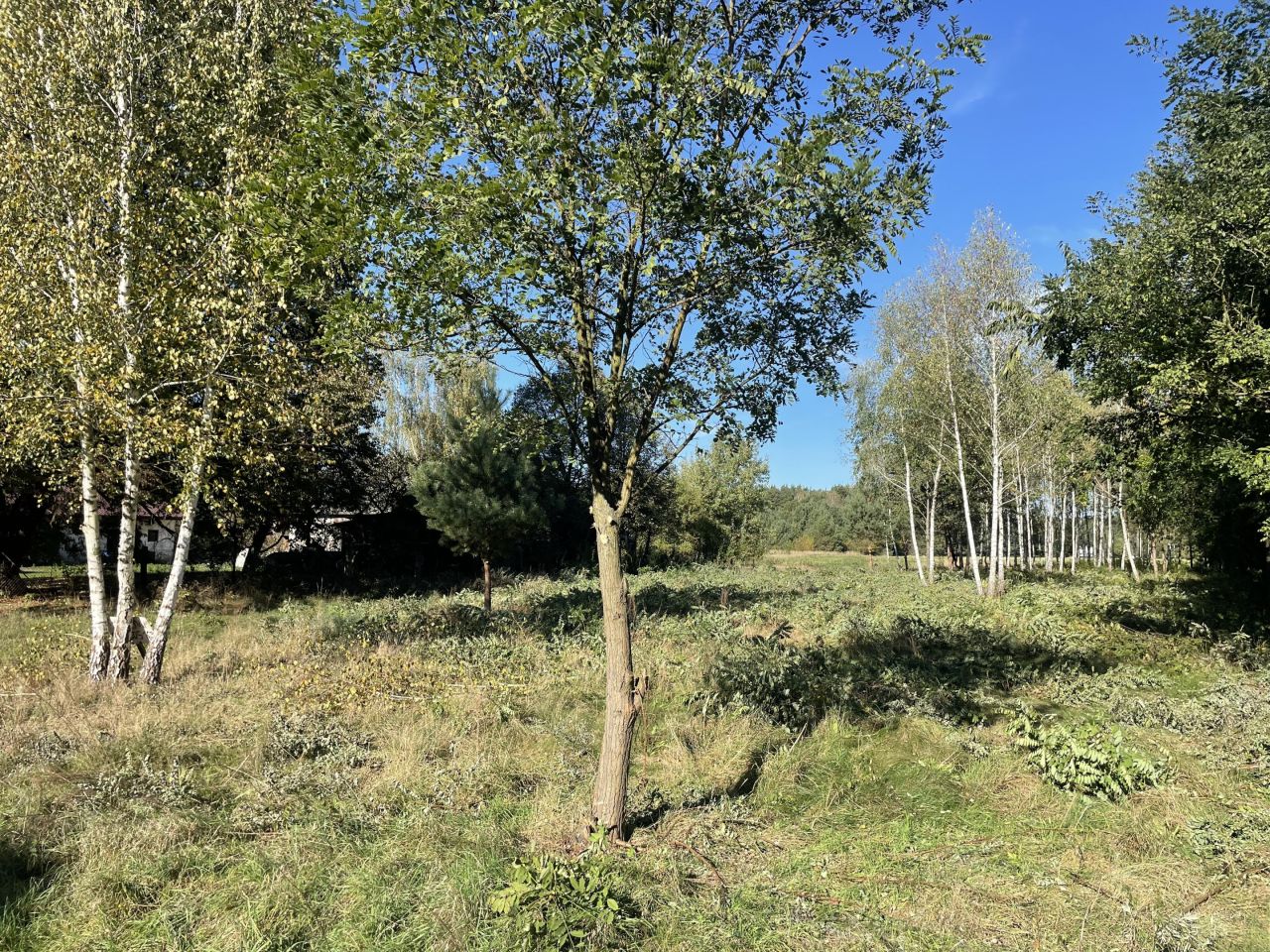 Działka budowlana Włodzimierzów, ul. Polanka. Zdjęcie 8