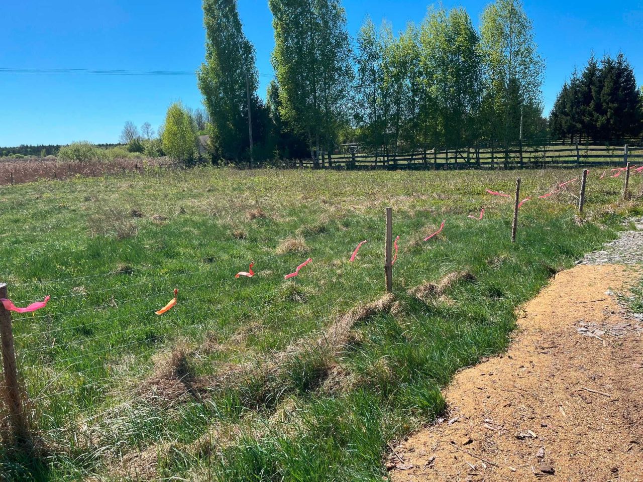 Działka rekreacyjna Bieńdziuga