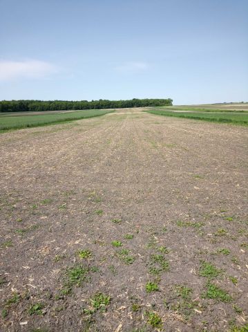 Działka rolna Ponikwy. Zdjęcie 1