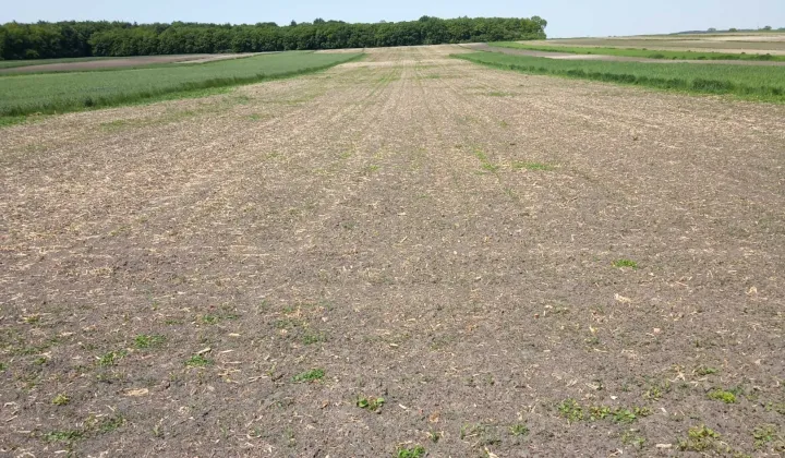 Działka rolna Ponikwy