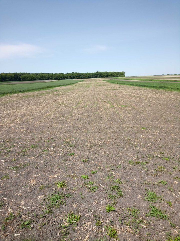 Działka rolna Ponikwy. Zdjęcie 1