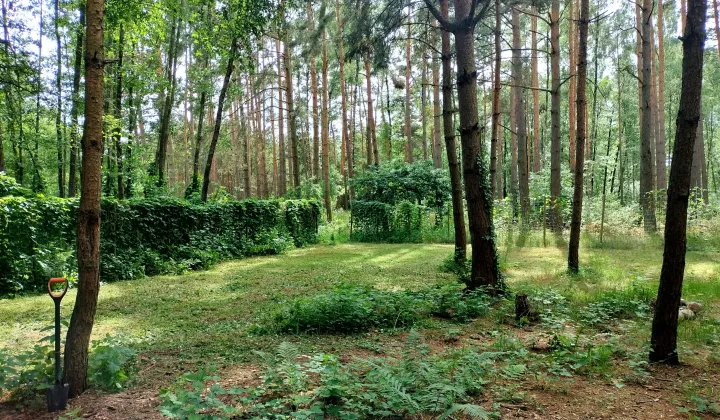 Działka budowlana Chomiąża Szlachecka