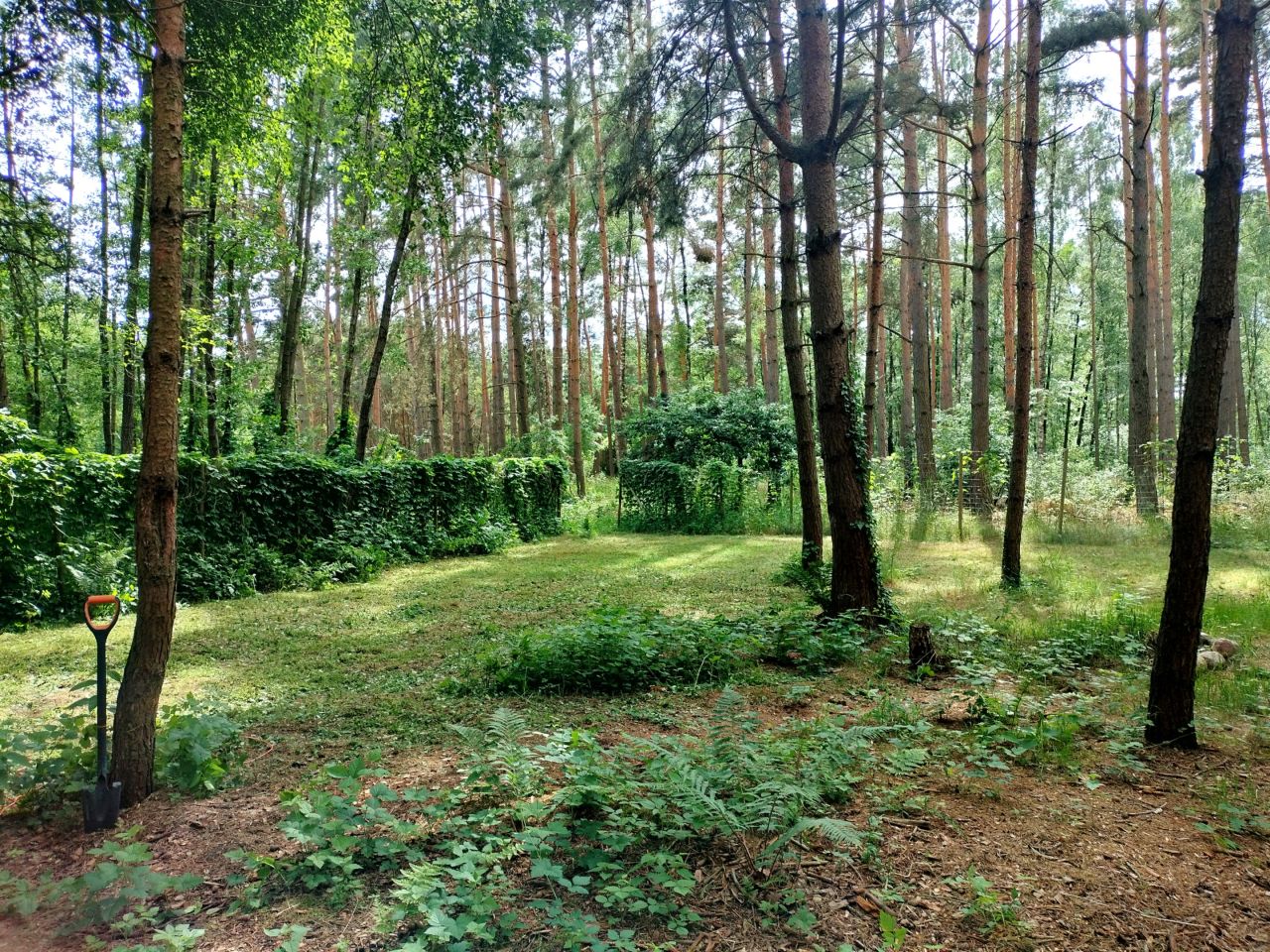Działka budowlana Chomiąża Szlachecka. Zdjęcie 1