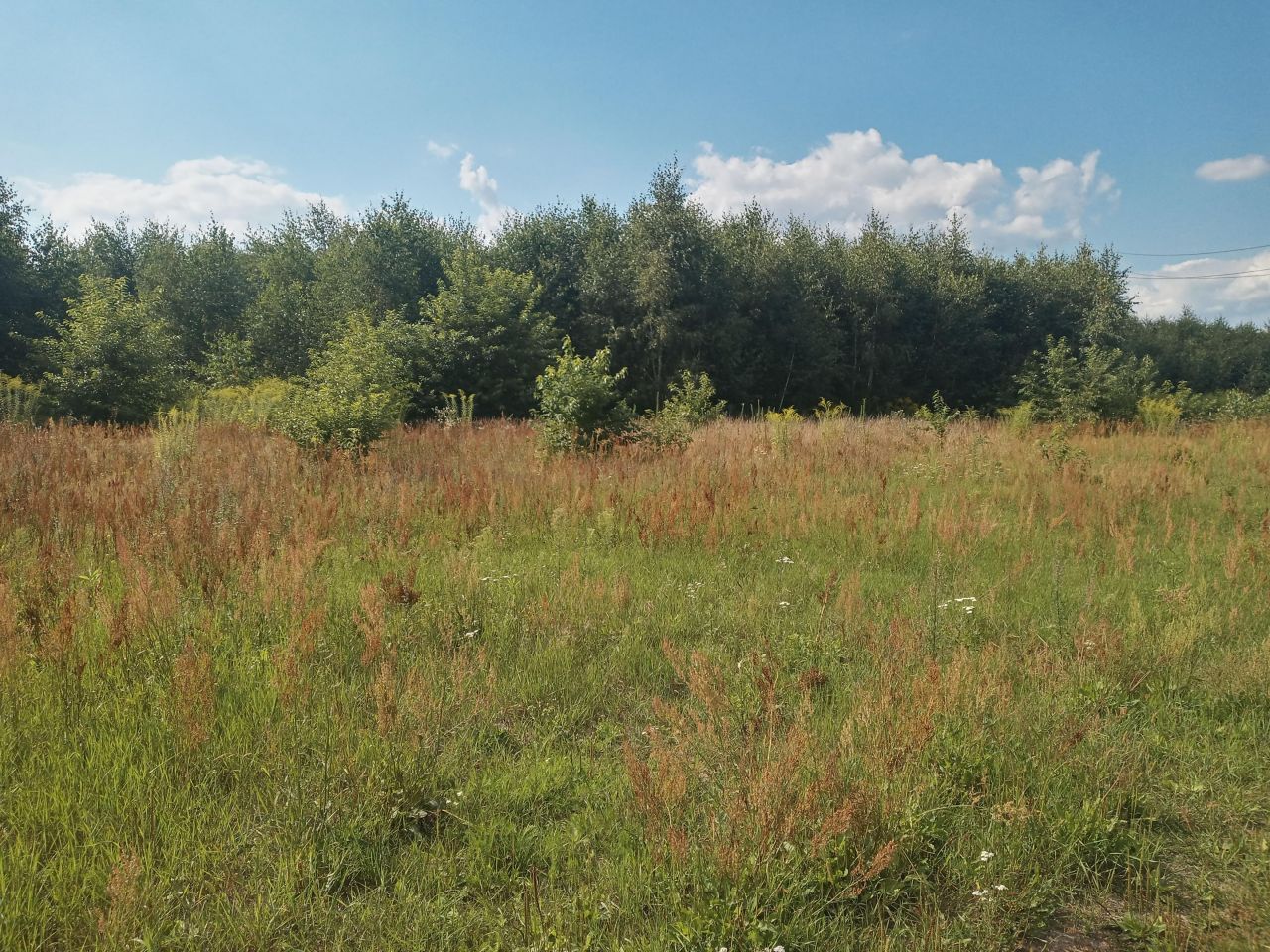 Działka budowlana Babice. Zdjęcie 2