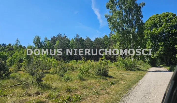 Działka budowlana Brzeziny, ul. Władysława Stanisława Reymonta