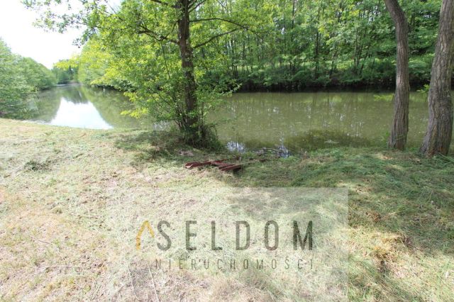 dom wolnostojący, 6 pokoi Licheń Stary. Zdjęcie 49