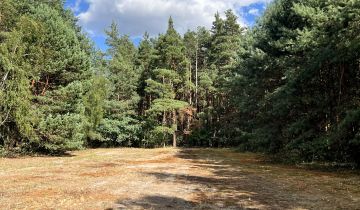 Działka rekreacyjna Mirowice, ul. Sarenki