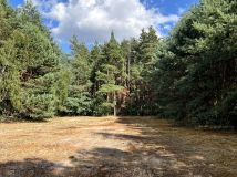 Działka rekreacyjna Mirowice, ul. Sarenki