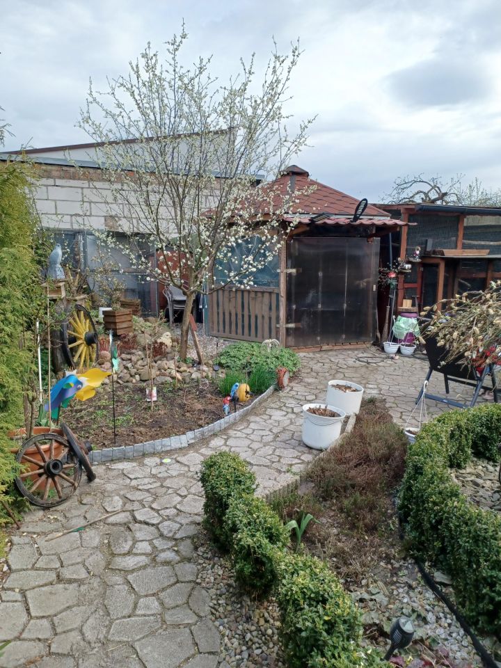 bliźniak, 2 pokoje Pęckowo, ul. Noja. Zdjęcie 15