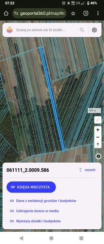 Działka leśna Kamień. Zdjęcie 1