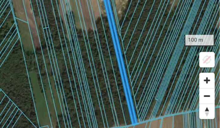 Działka leśna Kamień