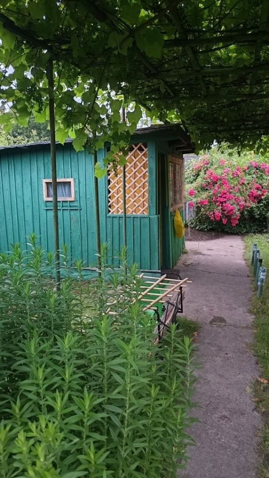 Działka rod Wrocław Brochów, ul. Ignacego Mościckiego. Zdjęcie 3