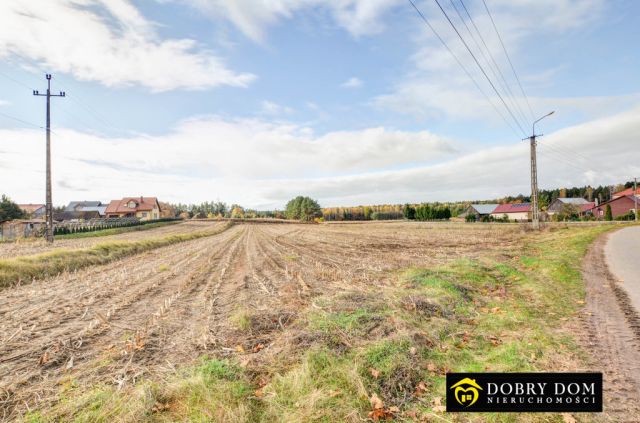 Działka budowlana Strzelcowizna. Zdjęcie 6