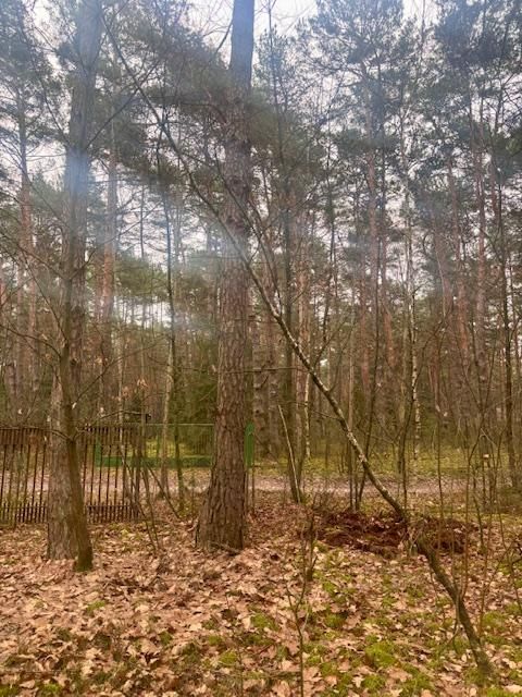 Działka leśna Osiedle Wilga, ul. Sarenek. Zdjęcie 7