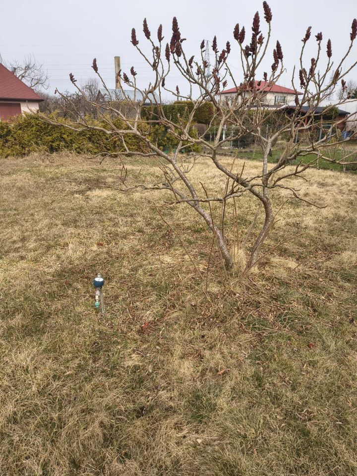 Działka rod Szczecinek, ul. Rybacka. Zdjęcie 4