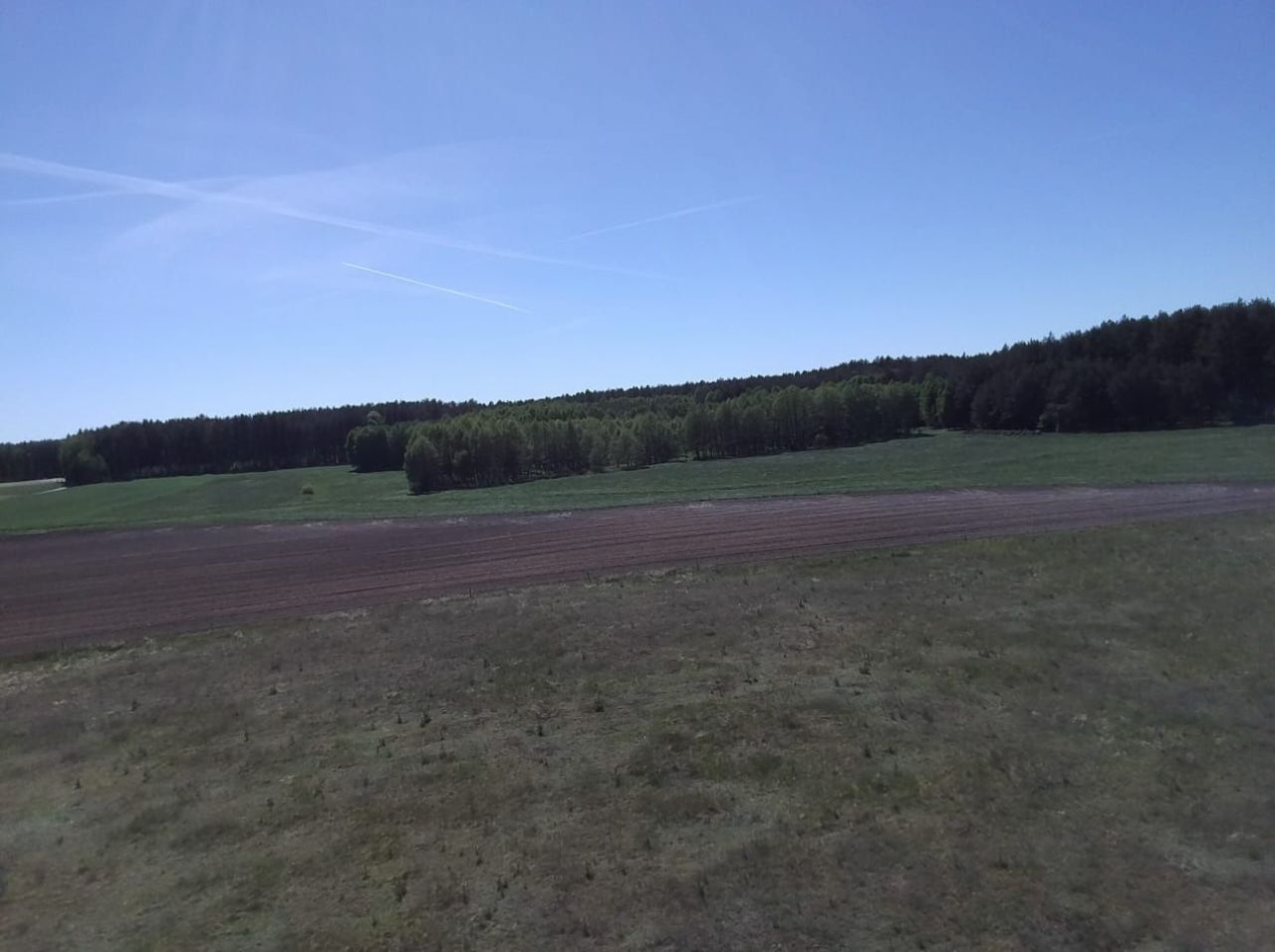 Działka budowlana Brzozie. Zdjęcie 5