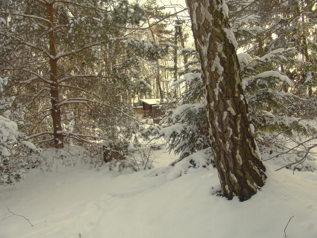 dom wolnostojący, 3 pokoje Magdalenka, ul. Piaskowa. Zdjęcie 35