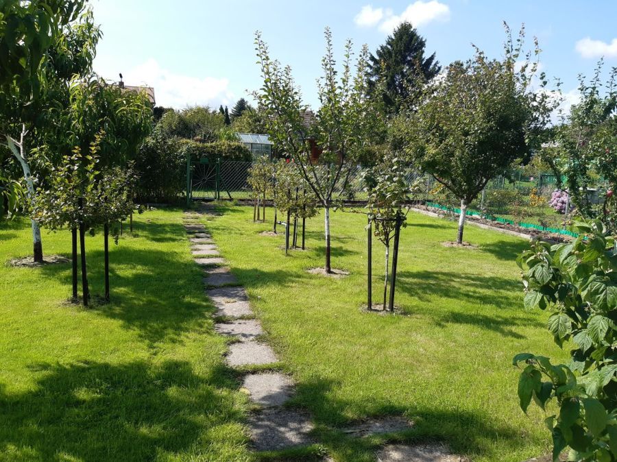 Działka rod Gdynia Oksywie, ul. Zielona. Zdjęcie 9