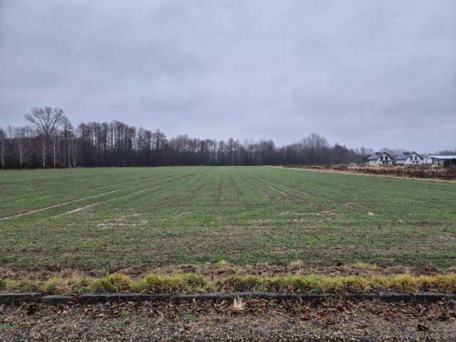 Działka budowlana Łańcut. Zdjęcie 1