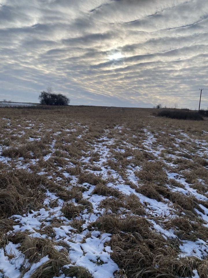 Działka Dąbrowa Górnicza Błędów. Zdjęcie 5