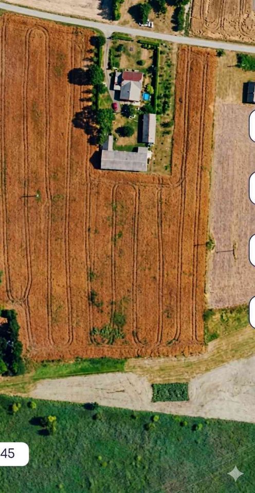 dom wolnostojący, 4 pokoje Czernięcin Poduchowny. Zdjęcie 2