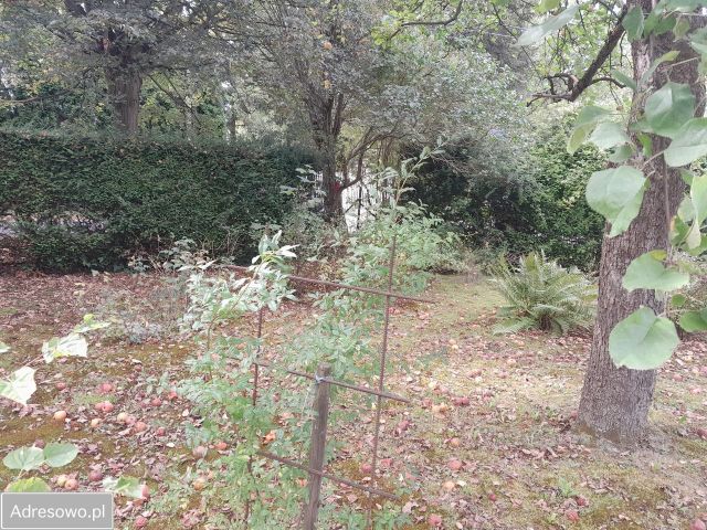 Działka budowlana Pruszków. Zdjęcie 1