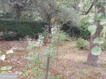 Działka budowlana Pruszków