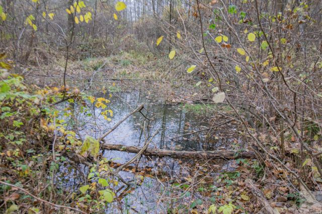 Działka Majdan Sieniawski. Zdjęcie 2